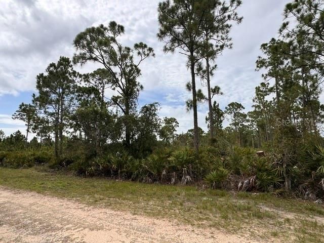 For Sale: $13,500 (0.17 acres)