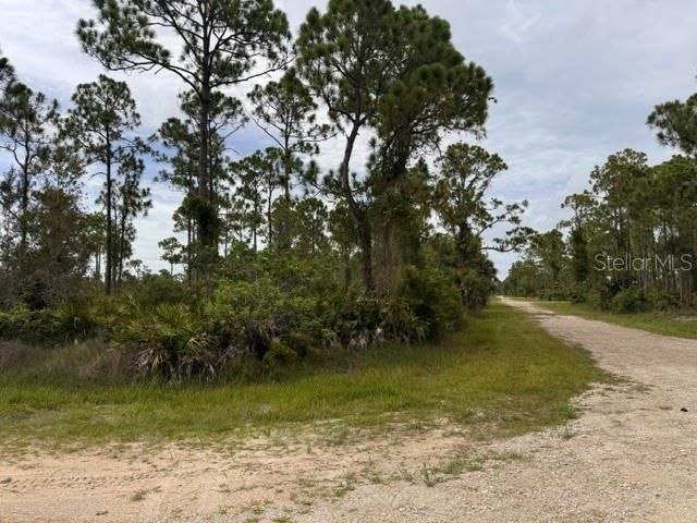 For Sale: $13,500 (0.17 acres)