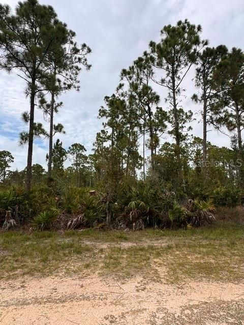 For Sale: $13,500 (0.17 acres)