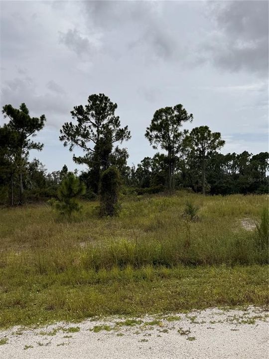 For Sale: $14,500 (0.21 acres)