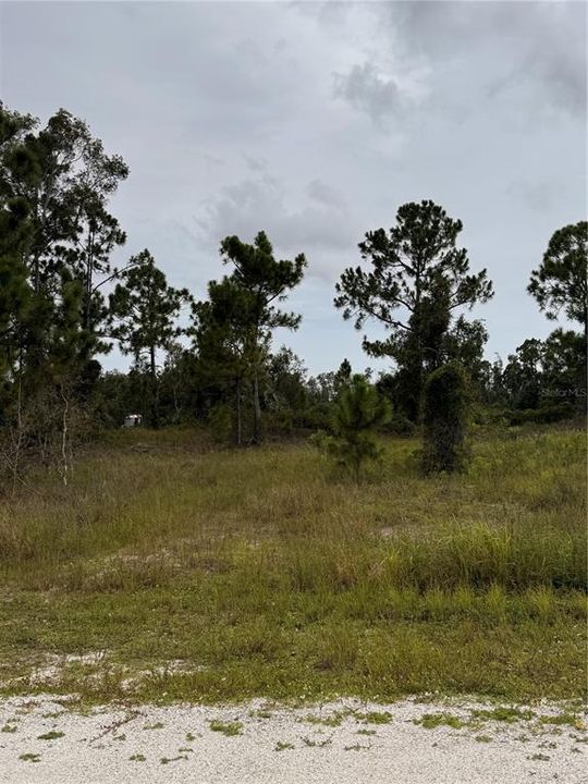 For Sale: $14,500 (0.21 acres)