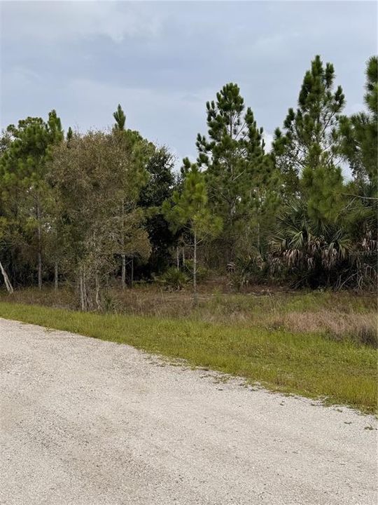 For Sale: $14,500 (0.21 acres)