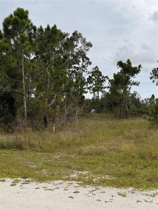 For Sale: $14,500 (0.21 acres)