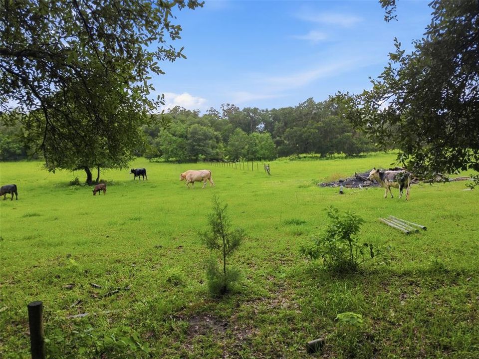 For Sale: $350,000 (3 beds, 1 baths, 992 Square Feet)