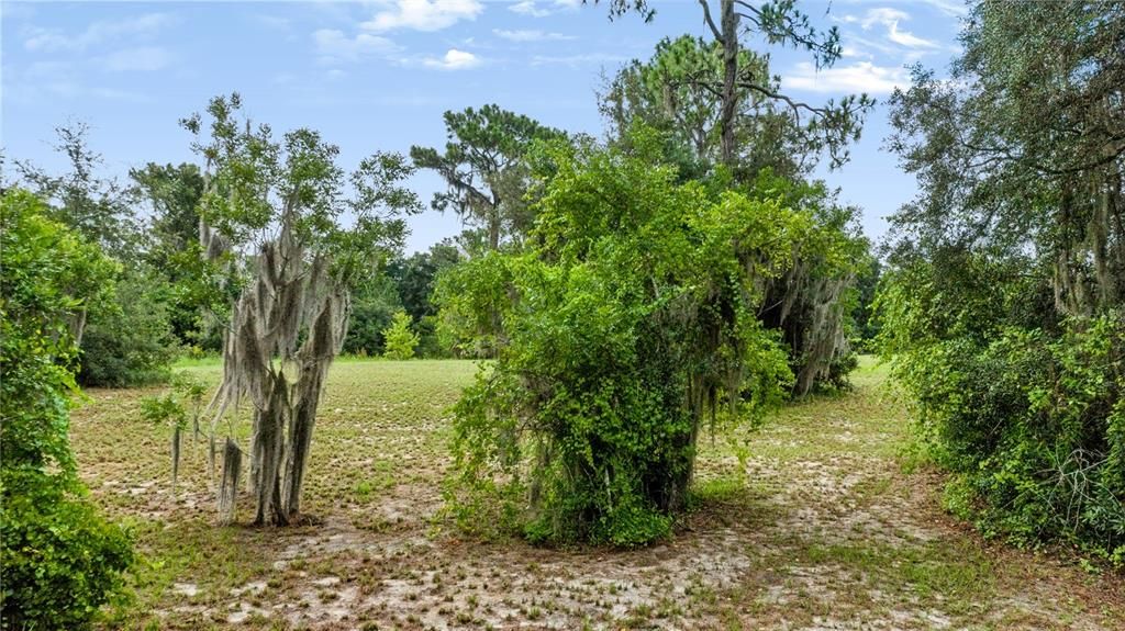 For Sale: $309,000 (4.77 acres)