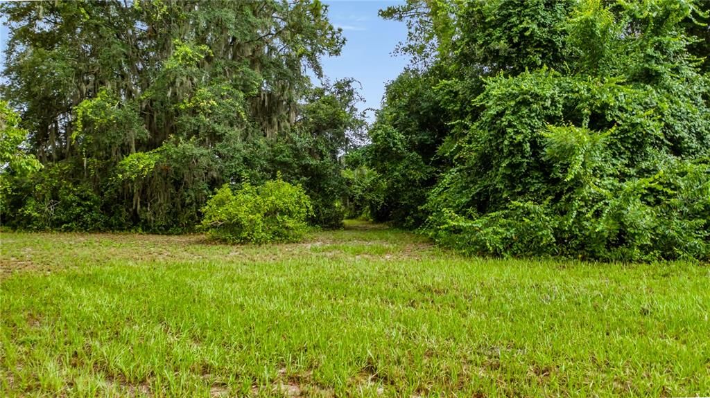 For Sale: $309,000 (4.77 acres)