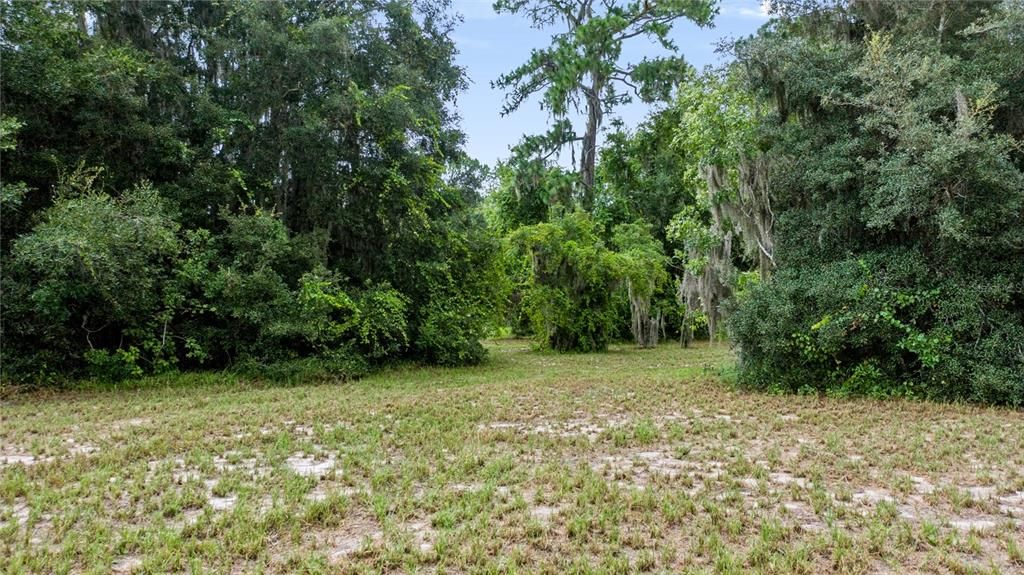 For Sale: $309,000 (4.77 acres)