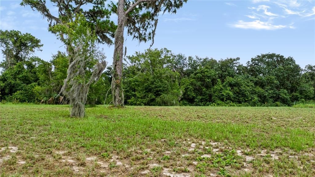For Sale: $309,000 (4.77 acres)