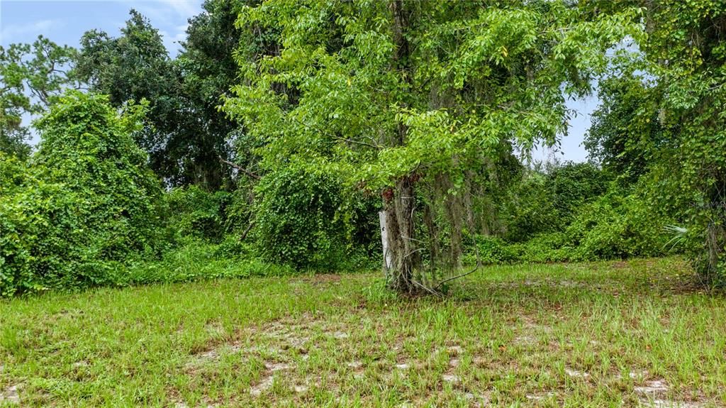 For Sale: $309,000 (4.77 acres)