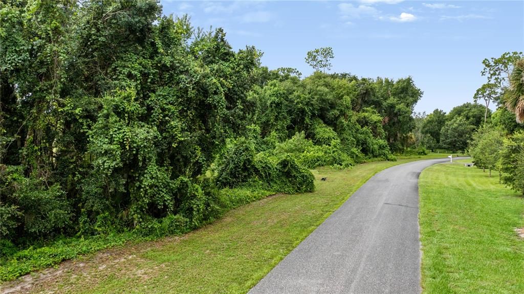 For Sale: $309,000 (4.77 acres)