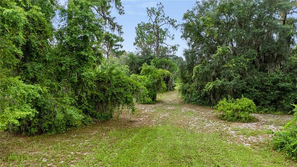 For Sale: $309,000 (4.77 acres)