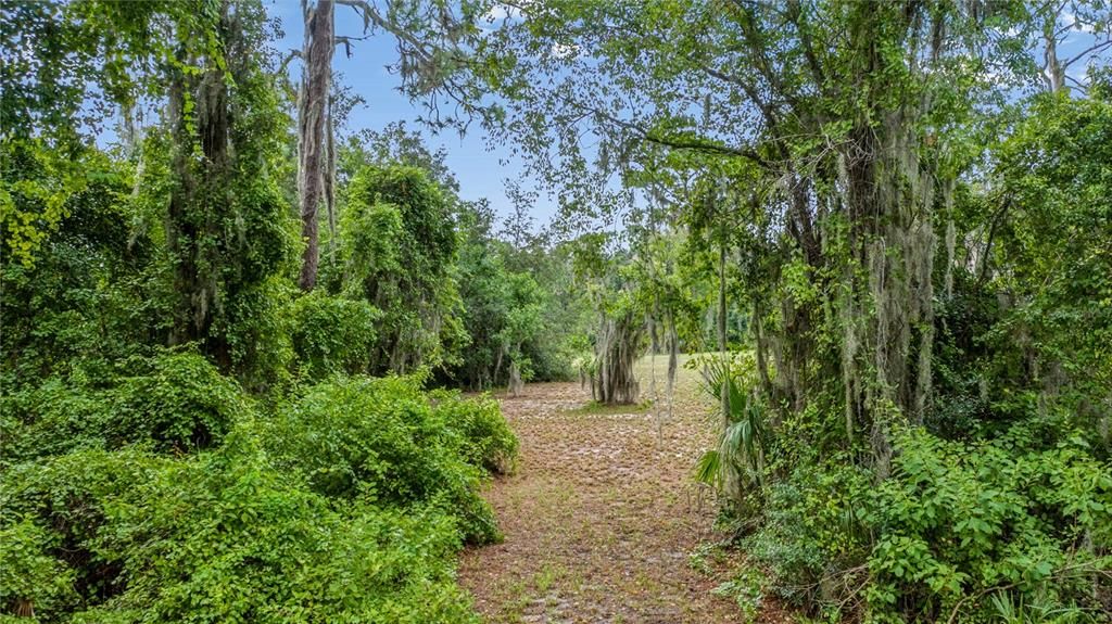 For Sale: $309,000 (4.77 acres)