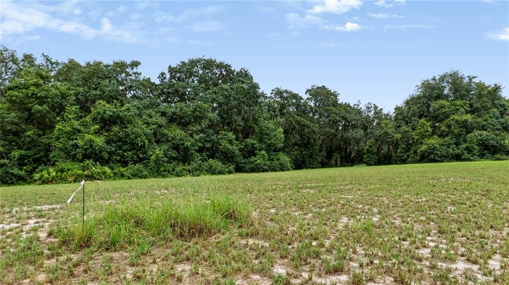 For Sale: $309,000 (4.77 acres)