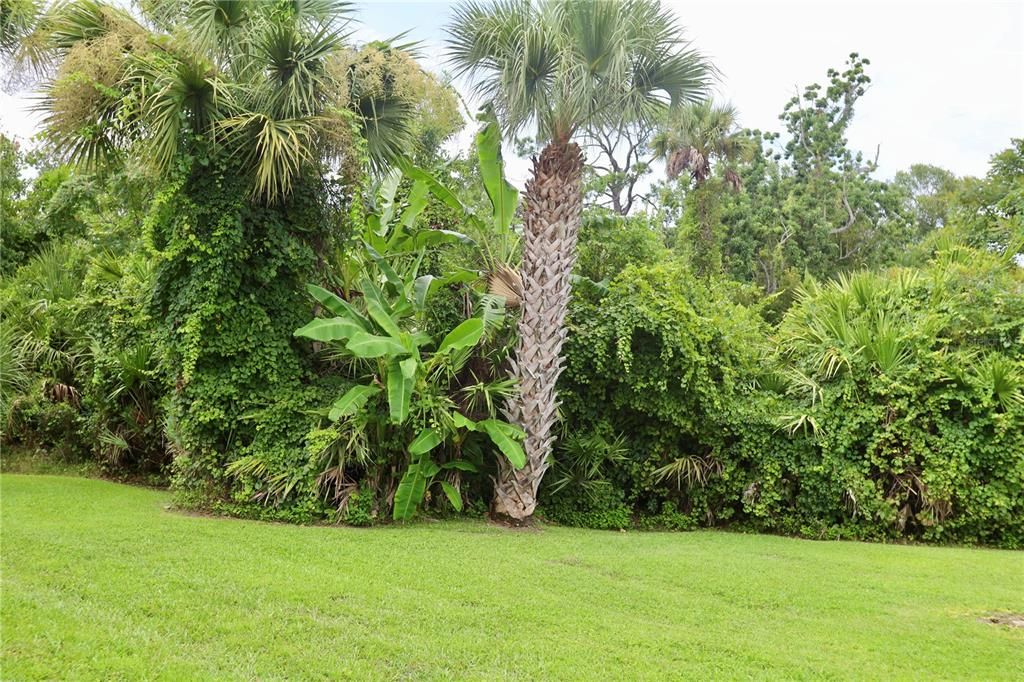 For Sale: $149,000 (1 beds, 1 baths, 797 Square Feet)
