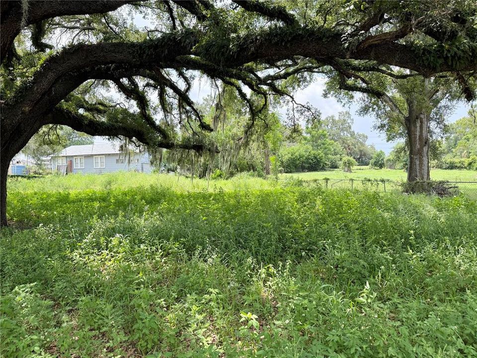 For Sale: $90,000 (0.16 acres)