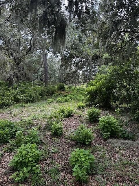 En Venta: $199,900 (10.00 acres)
