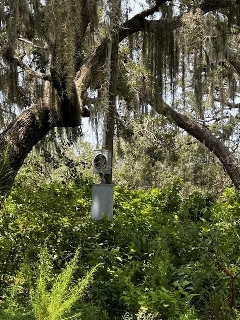 En Venta: $199,900 (10.00 acres)