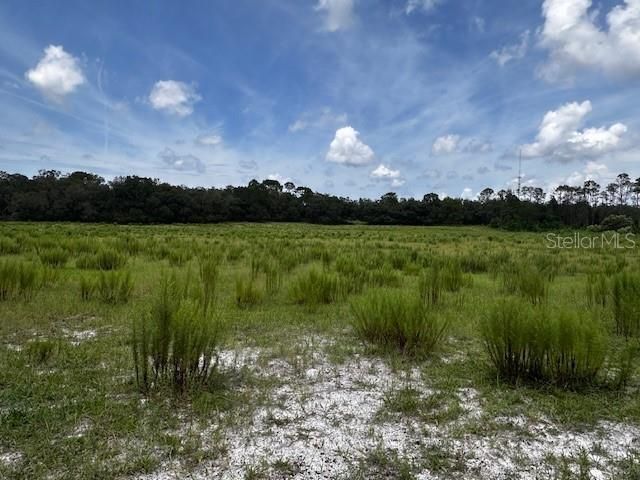En Venta: $199,900 (10.00 acres)