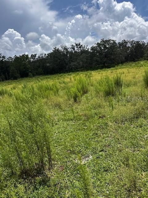 En Venta: $199,900 (10.00 acres)
