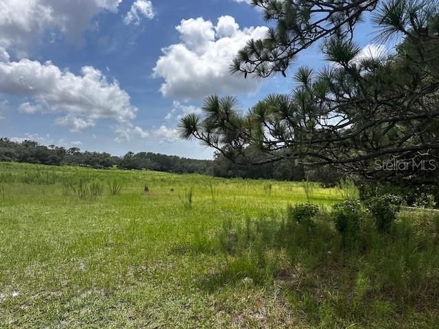 En Venta: $199,900 (10.00 acres)