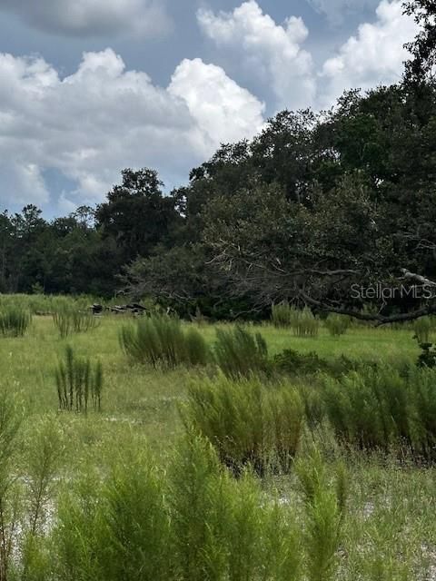 En Venta: $199,900 (10.00 acres)