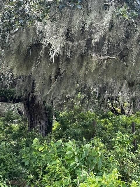 En Venta: $199,900 (10.00 acres)