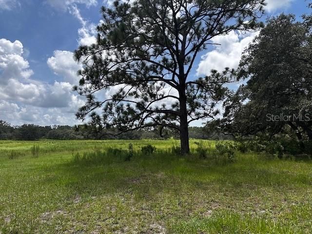 En Venta: $199,900 (10.00 acres)