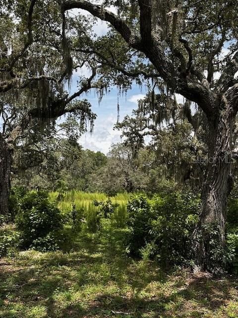 En Venta: $199,900 (10.00 acres)