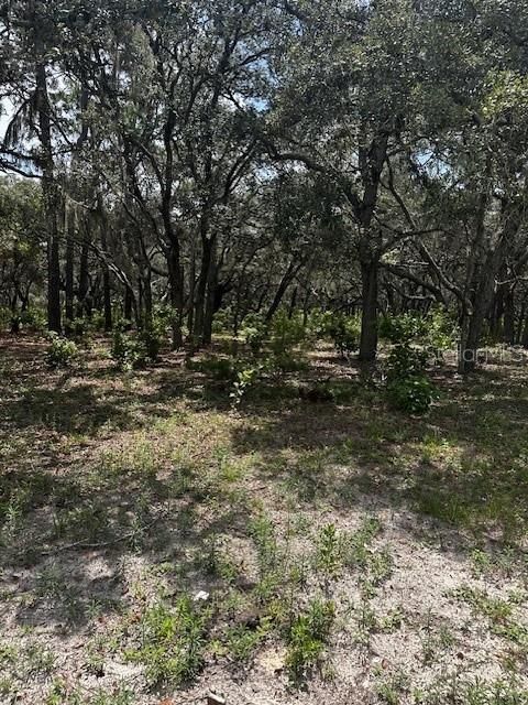 En Venta: $199,900 (10.00 acres)