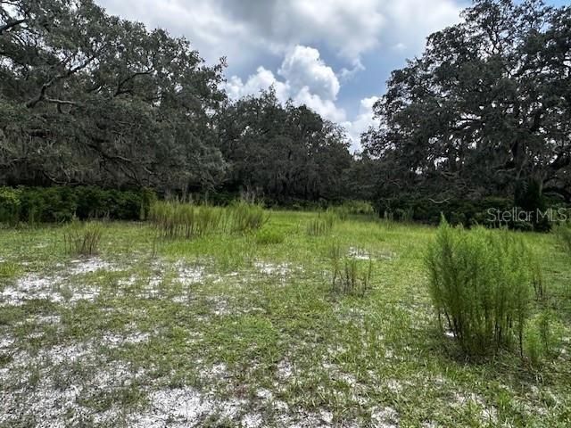 En Venta: $199,900 (10.00 acres)
