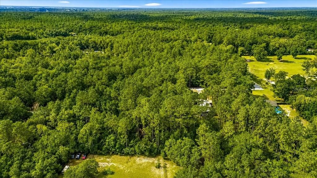 待售: $45,000 (0.99 acres)