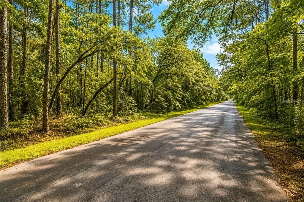 待售: $45,000 (0.99 acres)
