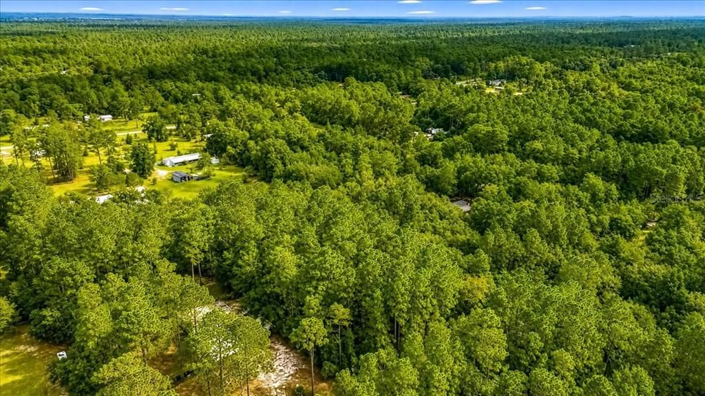 待售: $45,000 (0.99 acres)