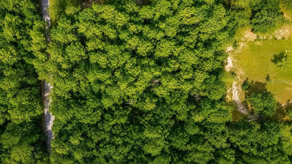待售: $45,000 (0.99 acres)