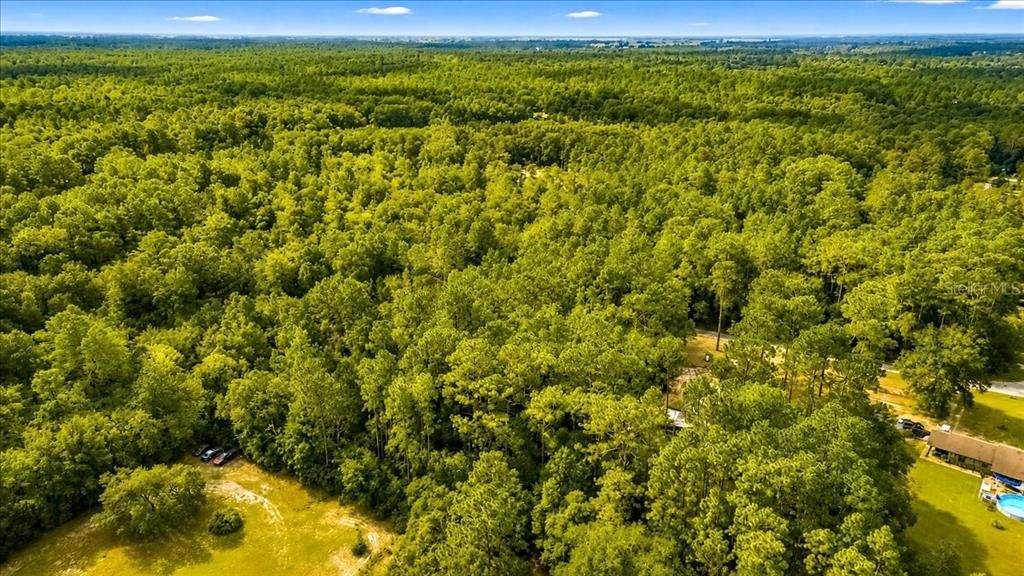 待售: $45,000 (0.99 acres)