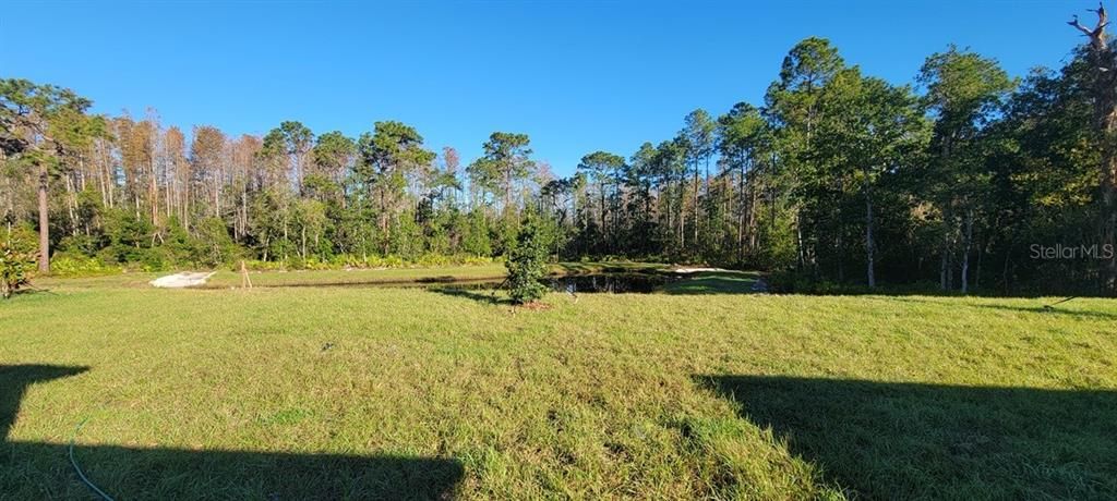 For Rent: $2,350 (3 beds, 2 baths, 1555 Square Feet)