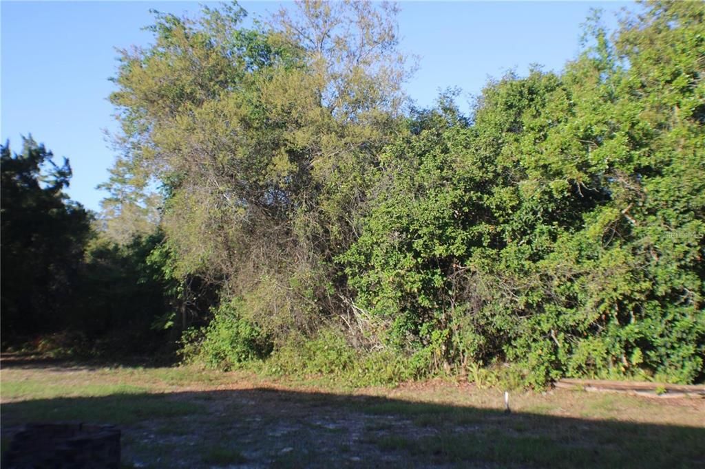 For Rent: $1,600 (2 beds, 1 baths, 1039 Square Feet)