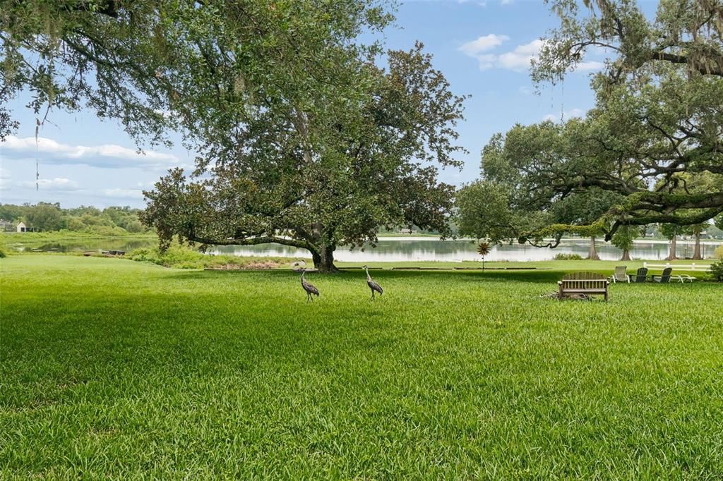 For Sale: $549,900 (3 beds, 2 baths, 1659 Square Feet)