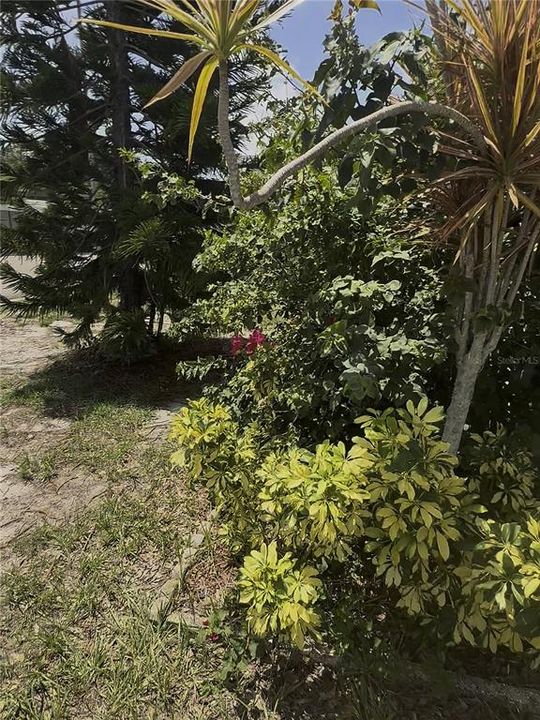 For Sale: $29,000 (3 beds, 1 baths, 1200 Square Feet)