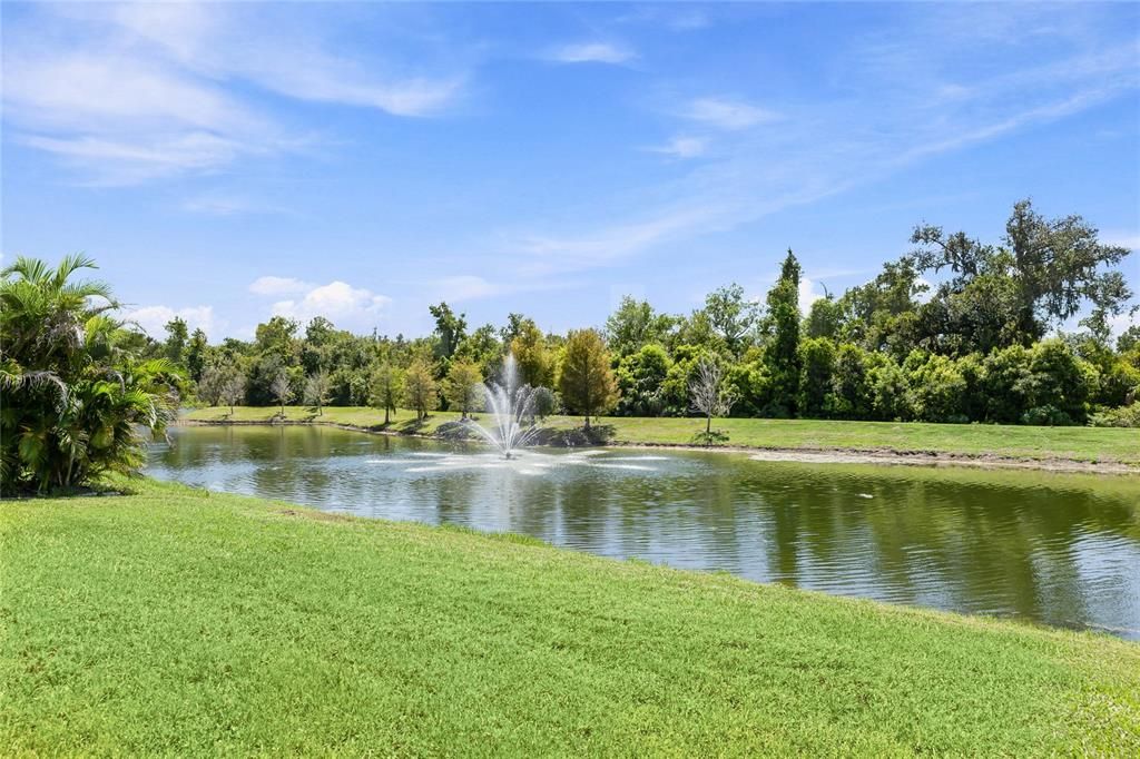 Activo con contrato: $339,000 (4 camas, 2 baños, 1846 Pies cuadrados)