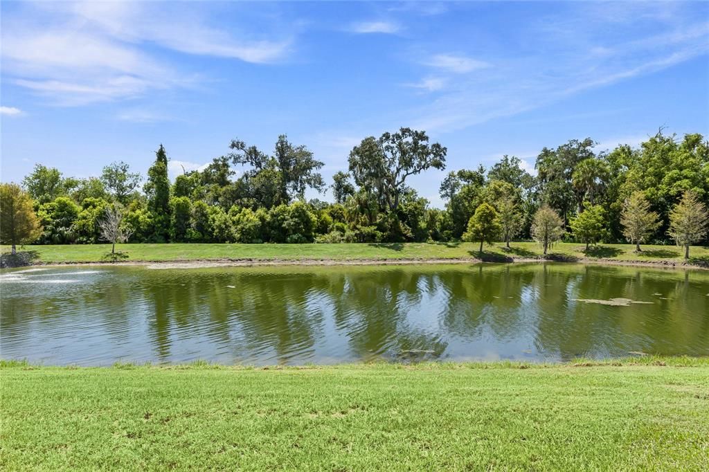 Activo con contrato: $339,000 (4 camas, 2 baños, 1846 Pies cuadrados)
