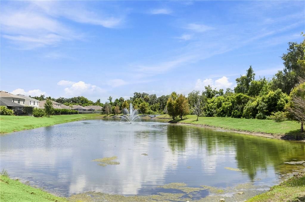 Activo con contrato: $339,000 (4 camas, 2 baños, 1846 Pies cuadrados)