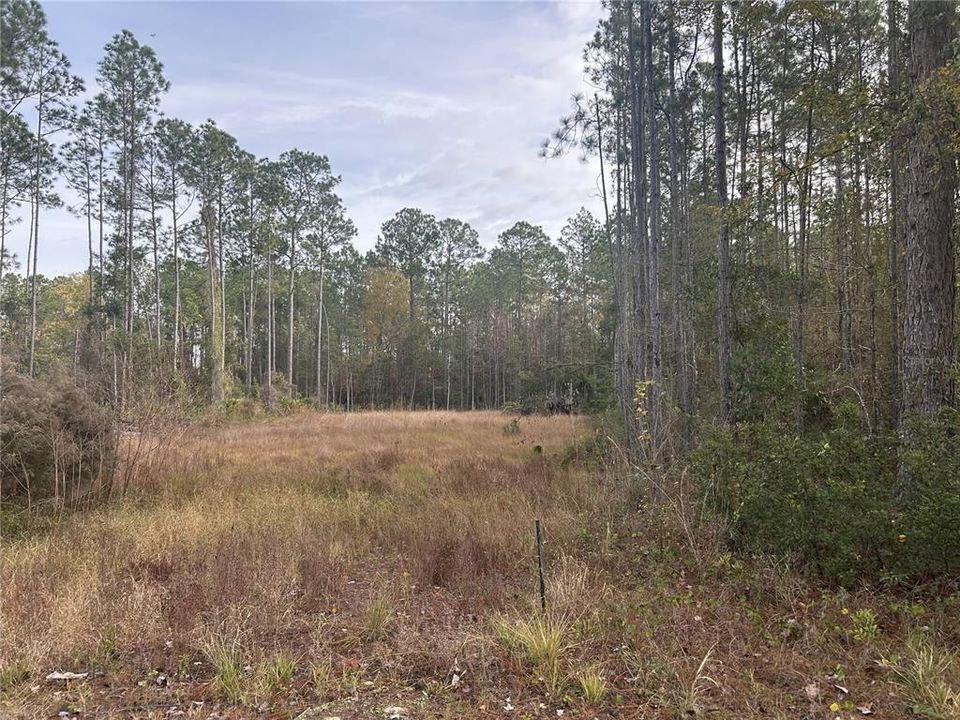 For Sale: $124,900 (1.02 acres)