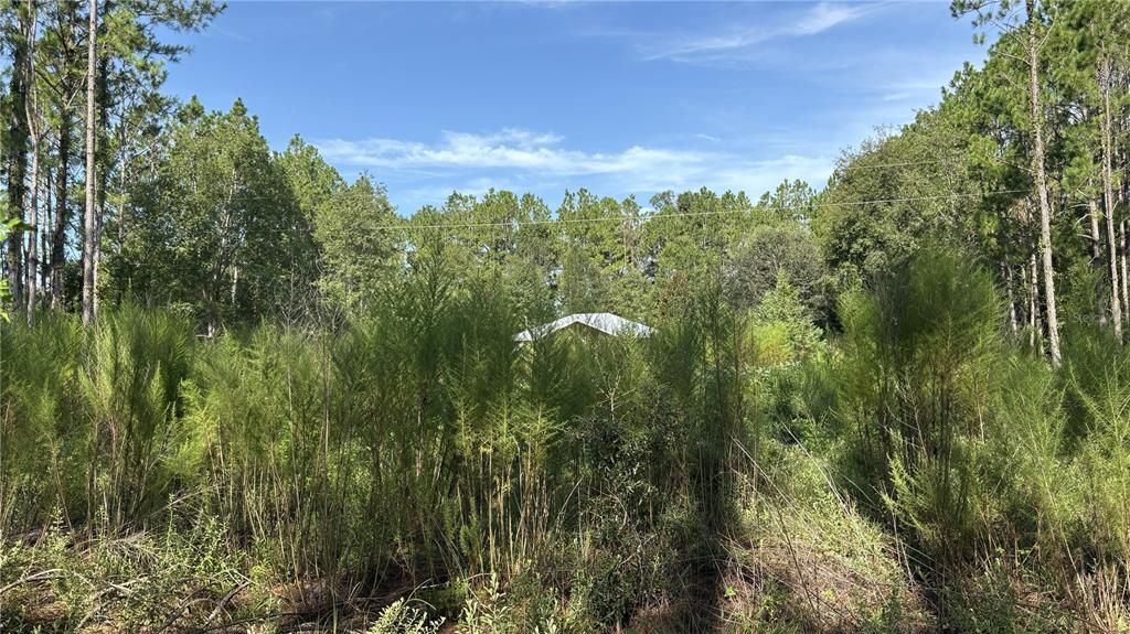 For Sale: $55,000 (0.83 acres)