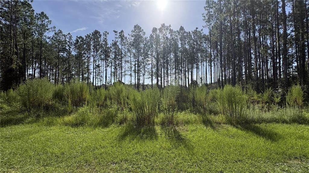 For Sale: $55,000 (0.83 acres)
