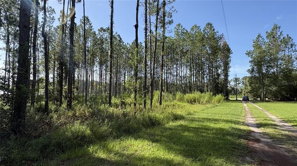 For Sale: $55,000 (0.83 acres)