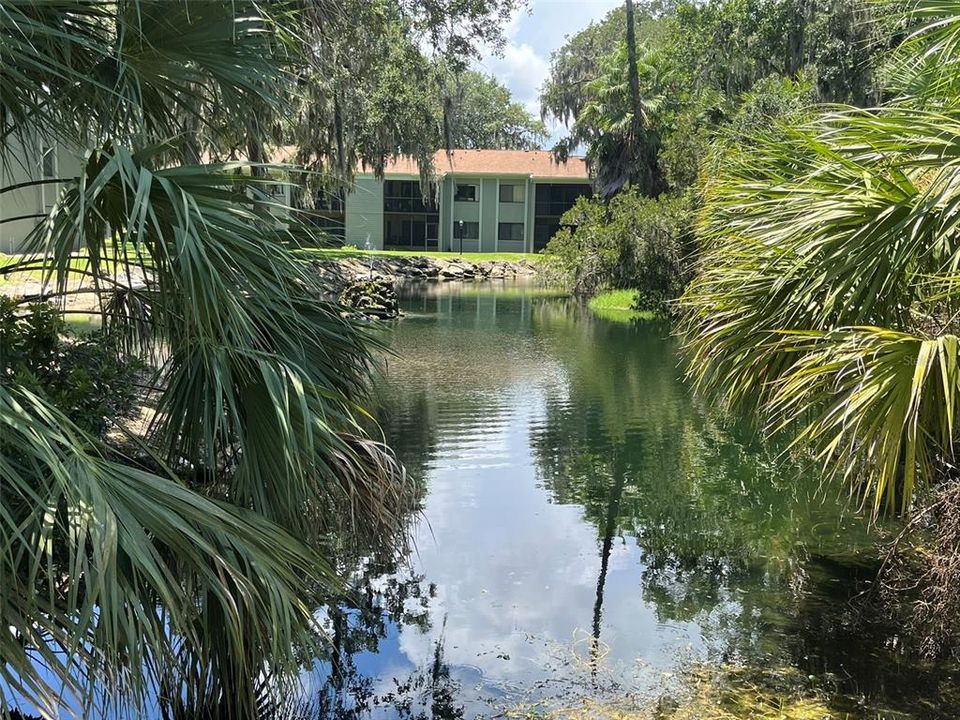 For Sale: $169,900 (2 beds, 2 baths, 1006 Square Feet)