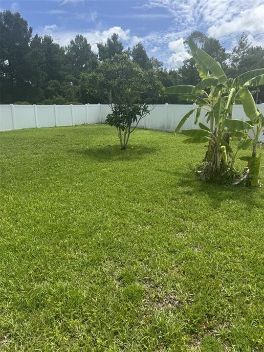 En Renta: $2,000 (3 camas, 2 baños, 1490 Pies cuadrados)