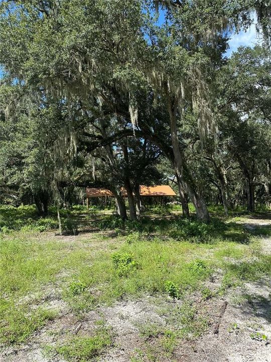 For Sale: $325,000 (10.00 acres)