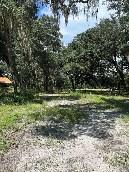 For Sale: $325,000 (10.00 acres)
